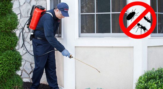 Eşrefpaşa Kemirgen İlaçlama böcek ilaçlama ve haşere kontrolü — ilaclama-tr.com